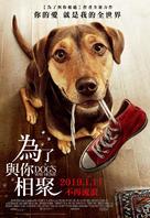 A Dog&#039;s Way Home - Taiwanese Movie Poster (xs thumbnail)
