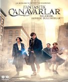 Fantastic Beasts and Where to Find Them - Turkish Movie Cover (xs thumbnail)