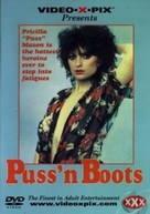 Puss &#039;n Boots - DVD movie cover (xs thumbnail)