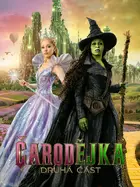 Wicked: For Good Cover