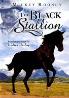 The Black Stallion - DVD movie cover (xs thumbnail)
