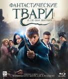 Fantastic Beasts and Where to Find Them - Russian Movie Cover (xs thumbnail)