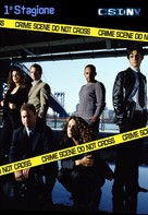 &quot;CSI: NY&quot; - Italian DVD movie cover (xs thumbnail)
