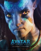 Avatar: The Way of Water - Singaporean Movie Poster (xs thumbnail)