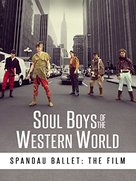 Soul Boys of the Western World - DVD movie cover (xs thumbnail)