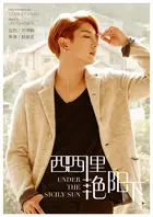 Never Said Goodbye - Chinese Movie Poster (xs thumbnail)