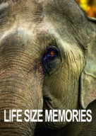 Life Size Memories - Austrian Movie Poster (xs thumbnail)
