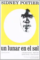 A Raisin in the Sun Poster