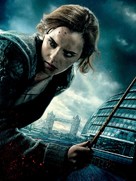 Harry Potter and the Deathly Hallows - Part 1 - Key art (xs thumbnail)