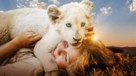 Mia et le lion blanc -  Key art (xs thumbnail)