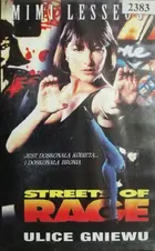 Streets of Rage Cover
