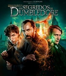 Fantastic Beasts: The Secrets of Dumbledore - Brazilian Movie Cover (xs thumbnail)