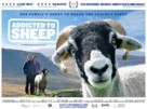 Addicted to Sheep - British Movie Poster (xs thumbnail)