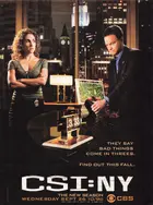 "CSI: NY" Poster