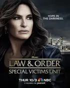 "Law & Order: Special Victims Unit" Poster