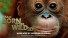 Born to Be Wild - Movie Poster (xs thumbnail)