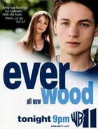 "Everwood" Poster