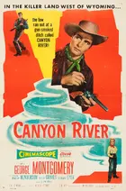 Canyon River Poster