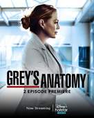 &quot;Grey&#039;s Anatomy&quot; - International Movie Poster (xs thumbnail)