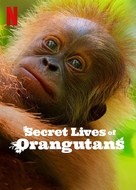 Secret Lives of Orangutans - British Movie Poster (xs thumbnail)