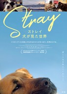 Stray - Japanese Movie Poster (xs thumbnail)