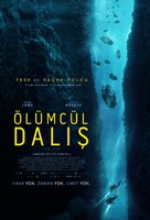 The Dive - Turkish Movie Poster (xs thumbnail)