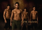 The Twilight Saga: New Moon - Movie Poster (xs thumbnail)