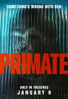 Primate Poster