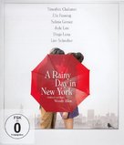 A Rainy Day in New York - German Blu-Ray movie cover (xs thumbnail)