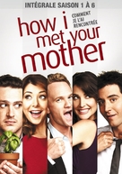 &quot;How I Met Your Mother&quot; - French DVD movie cover (xs thumbnail)