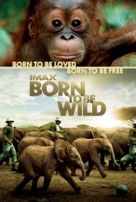 Born to Be Wild - Movie Poster (xs thumbnail)