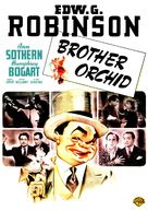 Brother Orchid - DVD movie cover (xs thumbnail)
