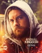 "Animal Kingdom" Other