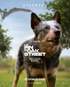The End of Oak Street Poster