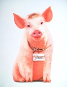 Babe: Pig in the City - poster (xs thumbnail)