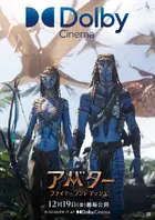 Avatar: Fire and Ash Poster