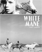 Crin blanc: Le cheval sauvage - Movie Cover (xs thumbnail)
