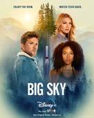 &quot;The Big Sky&quot; - Danish Movie Poster (xs thumbnail)
