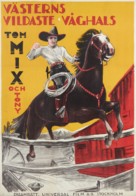 The Fourth Horseman - Swedish Movie Poster (xs thumbnail)