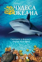 Ocean Wonderland - Russian Movie Poster (xs thumbnail)