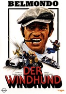 Flic ou voyou - German DVD movie cover (xs thumbnail)