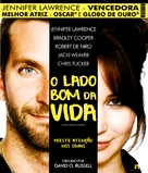 Silver Linings Playbook - Brazilian Blu-Ray movie cover (xs thumbnail)