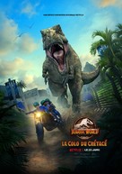 &quot;Jurassic World: Camp Cretaceous&quot; - French Movie Poster (xs thumbnail)
