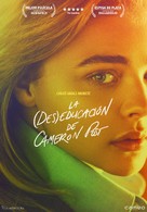 The Miseducation of Cameron Post - Spanish DVD movie cover (xs thumbnail)