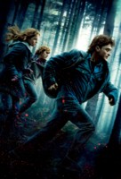 Harry Potter and the Deathly Hallows - Part 1 - Key art (xs thumbnail)