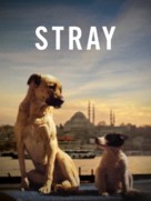 Stray - Movie Cover (xs thumbnail)