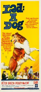 Lad: A Dog Poster