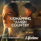 A Kidnapping in Amish Country Poster