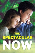 The Spectacular Now - DVD movie cover (xs thumbnail)