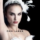 Black Swan - Slovenian Movie Poster (xs thumbnail)